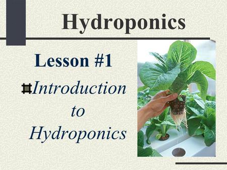 Introduction to Hydroponics