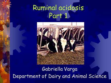 Ruminal acidosis Part 1 Gabriella Varga Department of Dairy and Animal Science.