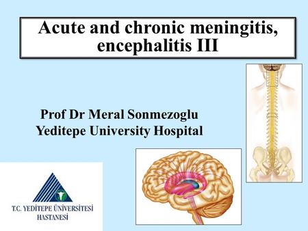 Acute and chronic meningitis, encephalitis III