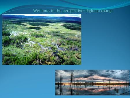 Wetlands are lands where saturation with water is the dominant factor determining the nature of soil development and the types of plant and animal communities.