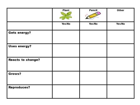 PlantPencilOther Yes/No Gets energy? Uses energy? Reacts to change? Grows? Reproduces?