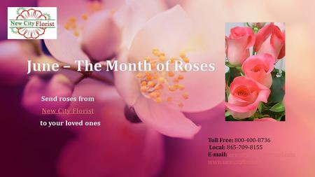 Toll Free: 800-400-8736 Local: 845-709-8155    June – The Month of RosesJune.