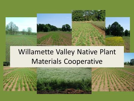 Willamette Valley Native Plant Materials Cooperative.