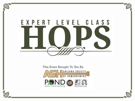 E VALUATING HOPS Aroma of Raw Hops Examine appearance (color, moisture) Rub lightly, smell Crush and release aromas, smell Hop Aroma in Beer Hop oils.