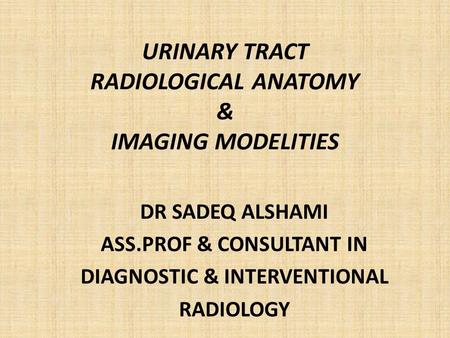 URINARY TRACT RADIOLOGICAL ANATOMY & IMAGING MODELITIES