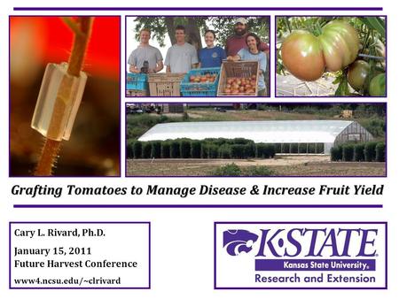 Cary L. Rivard, Ph.D. January 15, 2011 Future Harvest Conference www4.ncsu.edu/~clrivard Grafting Tomatoes to Manage Disease & Increase Fruit Yield.