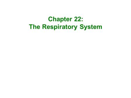 The Respiratory System