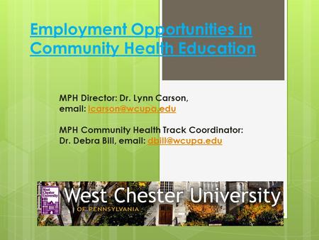 Employment Opportunities in Community Health Education MPH Director: Dr. Lynn Carson,   MPH Community Health Track Coordinator: