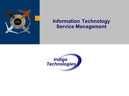 Information Technology Service Management