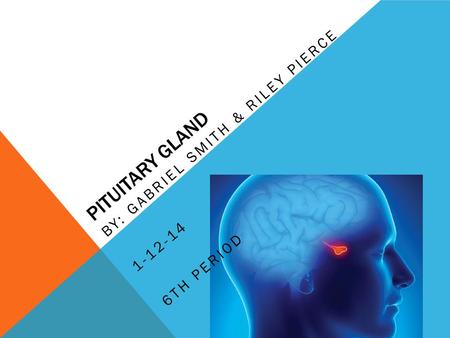 PITUITARY GLAND BY: GABRIEL SMITH & RILEY PIERCE 1-12-14 6TH PERIOD.