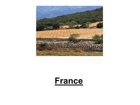 France. Geography 1. What is France’s largest city and marketing and distribution center? Paris 2. What is the chief industry of France? manufacturing.