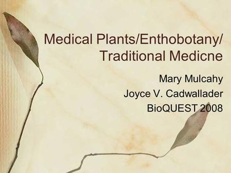 Medical Plants/Enthobotany/ Traditional Medicne Mary Mulcahy Joyce V. Cadwallader BioQUEST 2008.