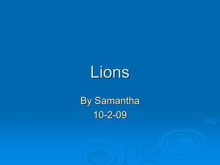 Lions By Samantha 10-2-09 Introduction Did you know that humans have killed thousands of lions? Lions have become desperate for food and space because.