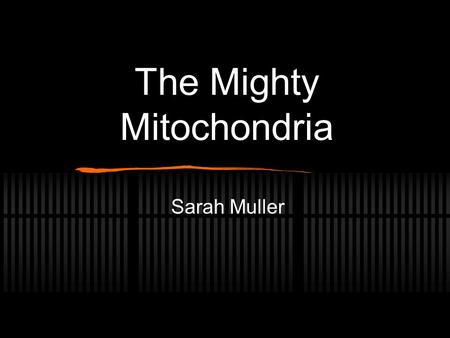 The Mighty Mitochondria Sarah Muller. Illustrations