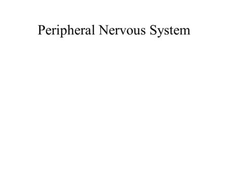 Peripheral Nervous System