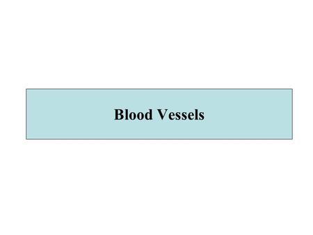 Blood Vessels. Pathology Congenital Anomalies Arteriosclerosis HTN Vasculitides ( inflammations) Aneurysms & Dissections Veins & Lymphatics Tumors.