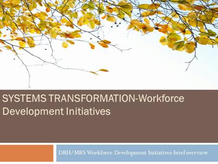 1 SYSTEMS TRANSFORMATION-Workforce Development Initiatives DBH/MRS Workforce Development Initiatives-brief overview.