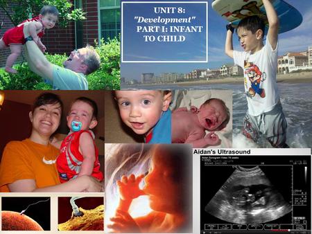 UNIT 8: Development PART I: INFANT TO CHILD. Early Development: A baby’s beginnings How a child develops physically, cognitively, socially, and emotionally.