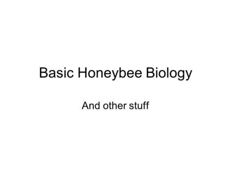 Basic Honeybee Biology And other stuff. PhylumArthropodExternal Skeleton, Chitinous, Segmented, Invertebrates ClassInsecta Hexapoda Six legged 3 major.