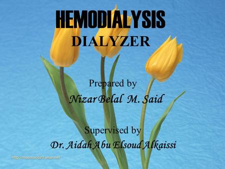 HEMODIALYSIS DIALYZER