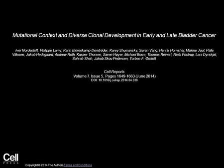 Mutational Context and Diverse Clonal Development in Early and Late Bladder Cancer Iver Nordentoft, Philippe Lamy, Karin Birkenkamp-Demtröder, Karey Shumansky,