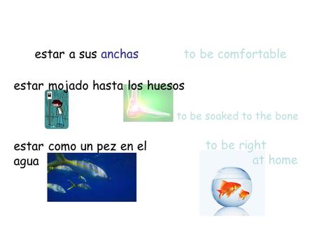 To be comfortableestar a sus anchas to be soaked to the bone estar mojado hasta los huesos estar como un pez en el agua to be right at home.