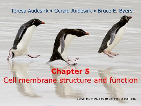 Cell membrane structure and function