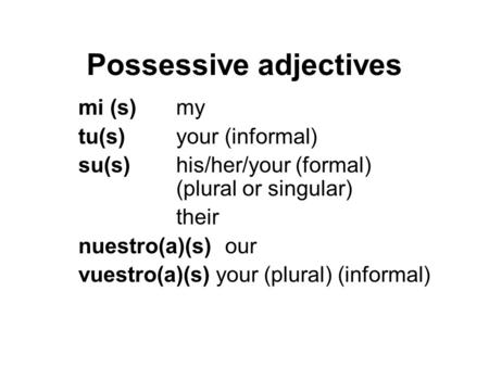 Possessive adjectives