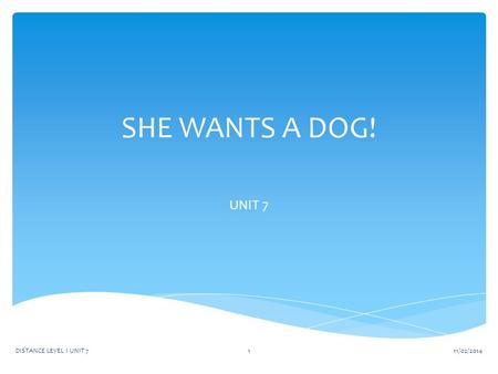 SHE WANTS A DOG! UNIT 7 11/02/2014DISTANCE LEVEL I UNIT 71.