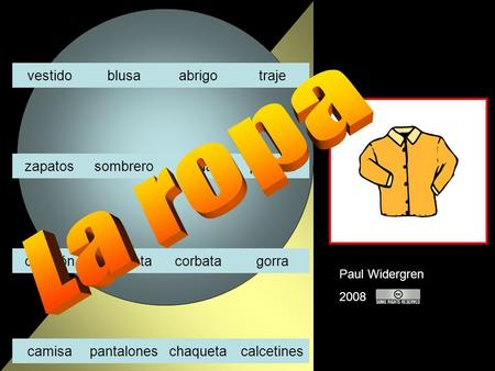 Paul Widergren 2008 blusaabrigotrajevestido faldapulserasombrerozapatos camisetacorbatagorracinturón pantaloneschaquetacalcetinescamisa.