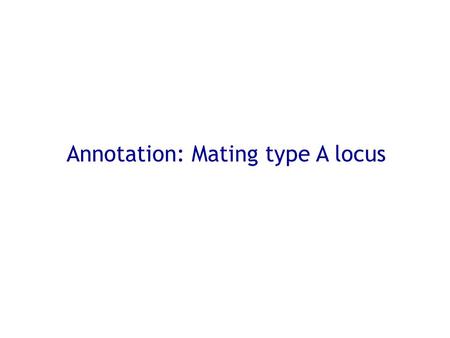 Annotation: Mating type A locus