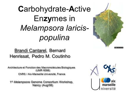 Brandi Cantarel, Bernard Henrissat, Pedro M. Coutinho Architecture et Fonction des Macromolécules Biologiques (UMR 6098) CNRS / Aix-Marseille Université,