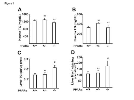 Figure 1 AB 0.1 0.2 0.3 Liver TG (µg/µg prot) PPAR # C 50 100 150 200 Liver Mac1 staining (cells/mm²) +/++/--/- PPAR D NS Plasma TG (mg/dL) +/++/--/- PPAR.