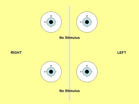 RIGHTLEFT No Stimulus. RIGHTLEFT Right Horizontal Canal Stimulus Left Horizontal Canal Stimulus.