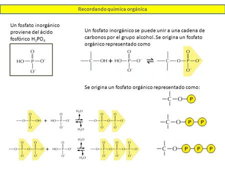 Recordando quimica orgánica