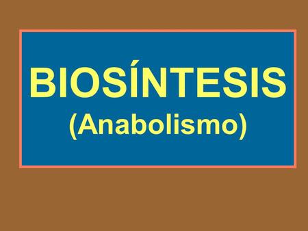 BIOSÍNTESIS (Anabolismo). Intermediarios de bajo peso molecular Unidades estructurales Macromoléculas (Alto peso molecular) Asociaciones supra - moleculares.