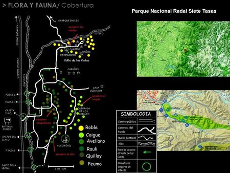 > FLORA Y FAUNA/ Cobertura Parque Nacional Radal Siete Tasas.