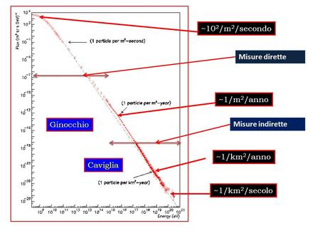 ~10 2 /m 2 /secondo ~1/m 2 /anno~1/km 2 /anno~1/km 2 /secoloGinocchio Caviglia Misure diretteMisure indirette.