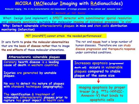 MOIRA (MOlecular Imaging with RAdionuclides) F. Garibaldi, gr. Coll. Sanita What: Design (and implement) a SPECT detector with submillimeter spatial resolution.