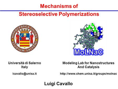 Mechanisms of Stereoselective Polymerizations