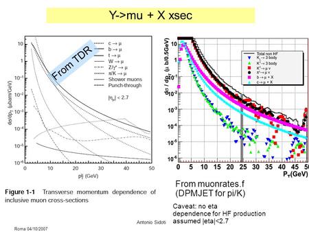 Roma 04/10/2007 Antonio Sidoti Y->mu + X xsec From TDR From muonrates.f (DPMJET for pi/K) Caveat: no eta dependence for HF production assumed |eta|