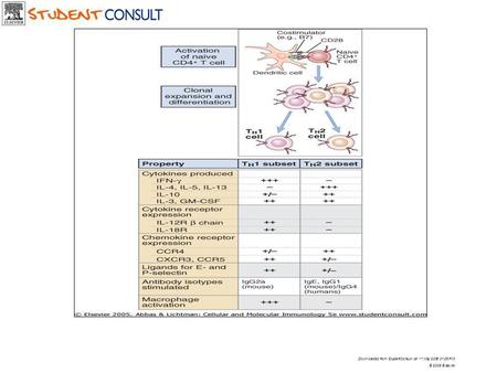 Downloaded from: StudentConsult (on 11 May 2006 01:26 PM) © 2005 Elsevier.