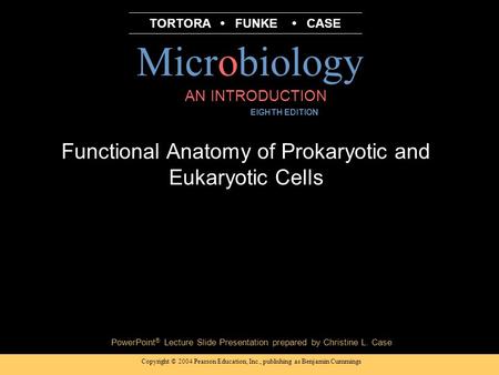 Functional Anatomy of Prokaryotic and Eukaryotic Cells