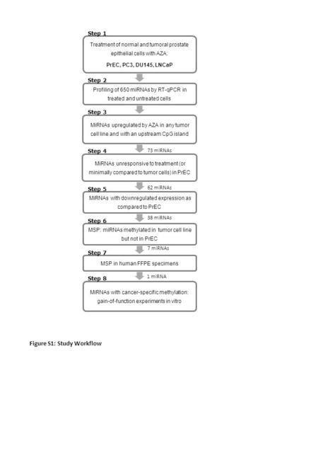 Step 1 Step 4 Step 3 Step 2 Step 7 Step 6 Step 8 Step 5 73 miRNAs 62 miRNAs 38 miRNAs 7 miRNAs 1 miRNA Figure S1: Study Workflow.