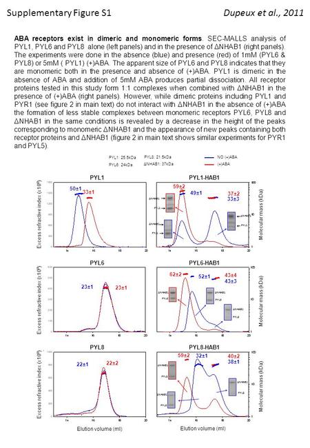 Supplementary Figure S1 (+)ABA NO (+)ABA Excess refractive index (x10 8 ) Molecular mass (kDa) 50±1 33±1 Excess refractive index (x10 8 ) Molecular mass.