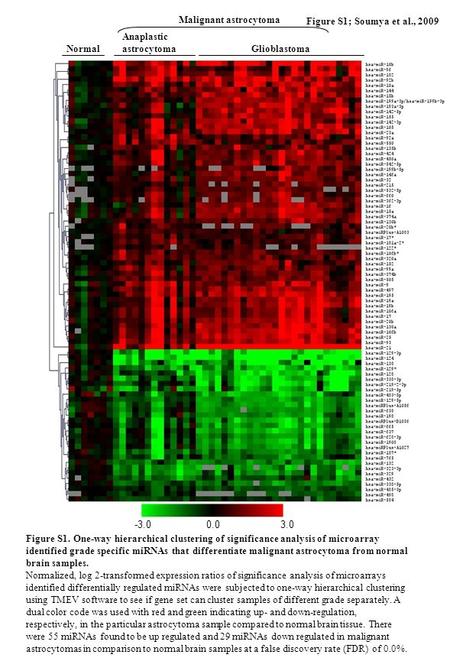 Normal Anaplastic astrocytoma Glioblastoma Figure S1; Soumya et al., 2009 Malignant astrocytoma -3.00.03.0 Figure S1. One-way hierarchical clustering of.