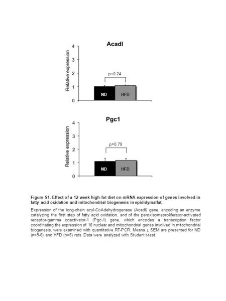 Pgc1 p=0.24 p=0.79 Figure S1. Effect of a 12-week high-fat diet on mRNA expression of genes involved in fatty acid oxidation and mitochondrial biogenesis.