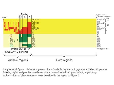 USDA110 NC6 USDA122 NC4 NK2 USDA124 USDA6 T7 T9 USDA110 NC6 USDA122 NC4 NK2 USDA124 USDA6 T7 T9 110 122 6 B. japonicum strains Genome type TN FN NCL NCS.