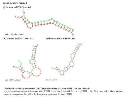 Supplementary Figure 1 a) Human miRNA-34a - Axl