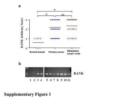 Supplementary Figure 1 a b RANK 1 2 3 4 5 6 7 8 9 10 11 * RANK Arbitrary Score ns 0 1 2 3 Normal breast Primary tumor Metastasis lymph node *